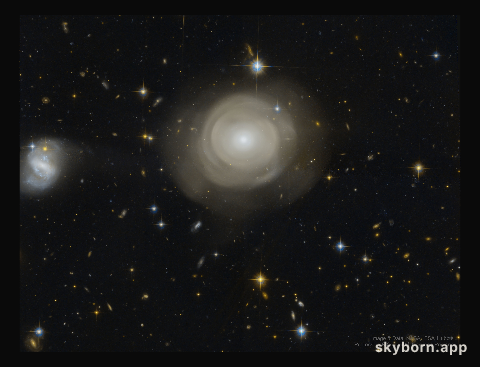 Shells of Stars in Elliptical Galaxy PGC 42871