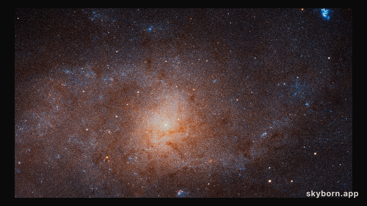 The Stars of the Triangulum Galaxy