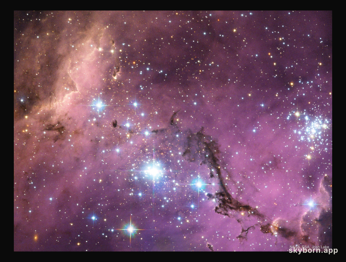 N11: Star Clouds of the LMC