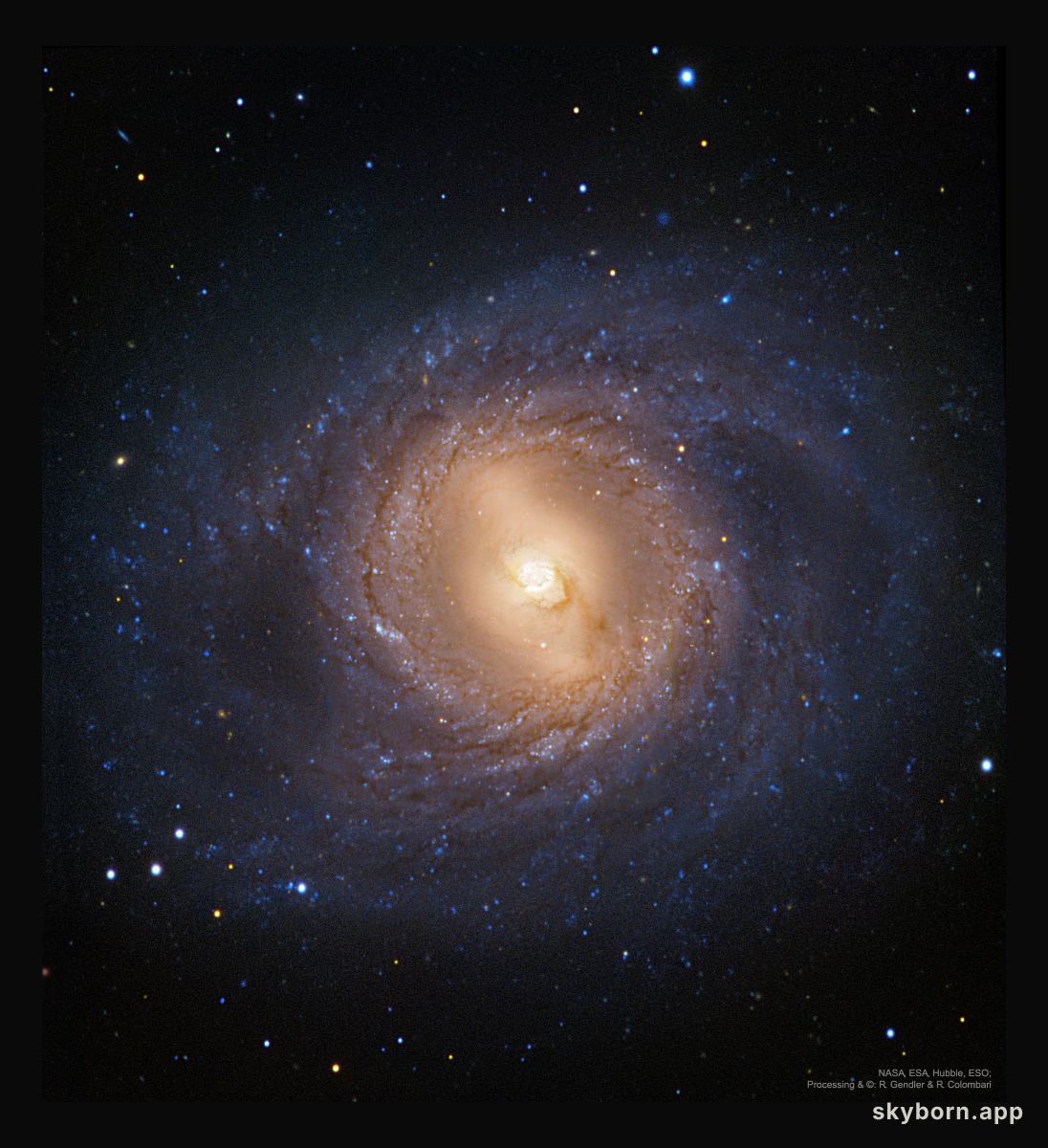 M95: Spiral Galaxy with an Inner Ring