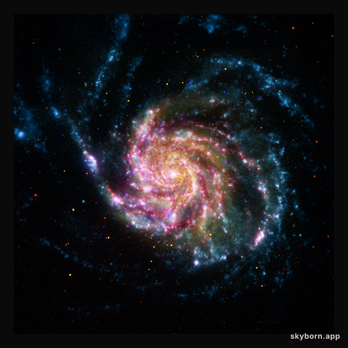 21st Century M101