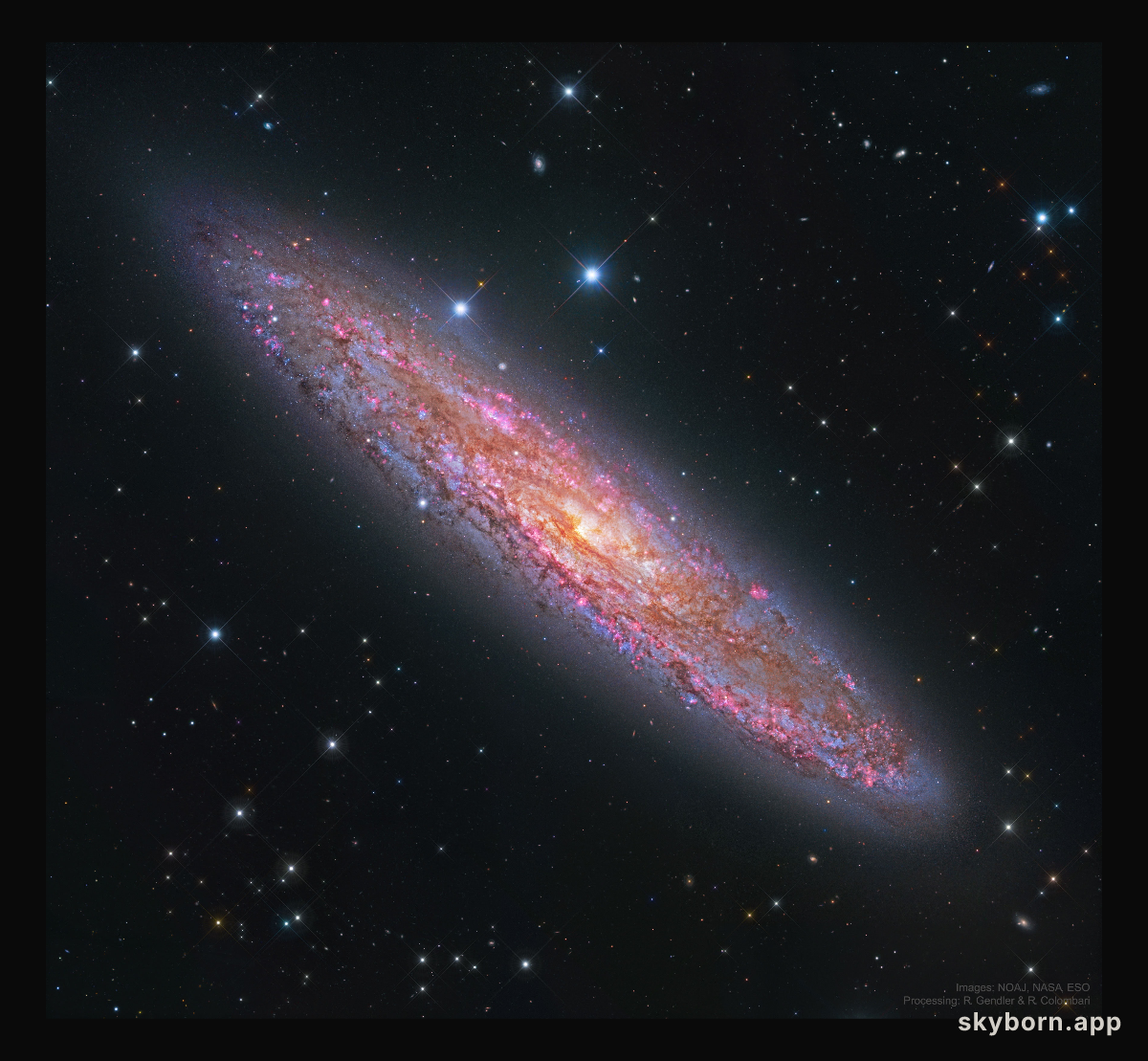 NGC 253: The Silver Coin Galaxy