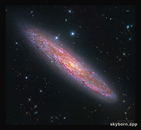 NGC 253: The Silver Coin Galaxy
