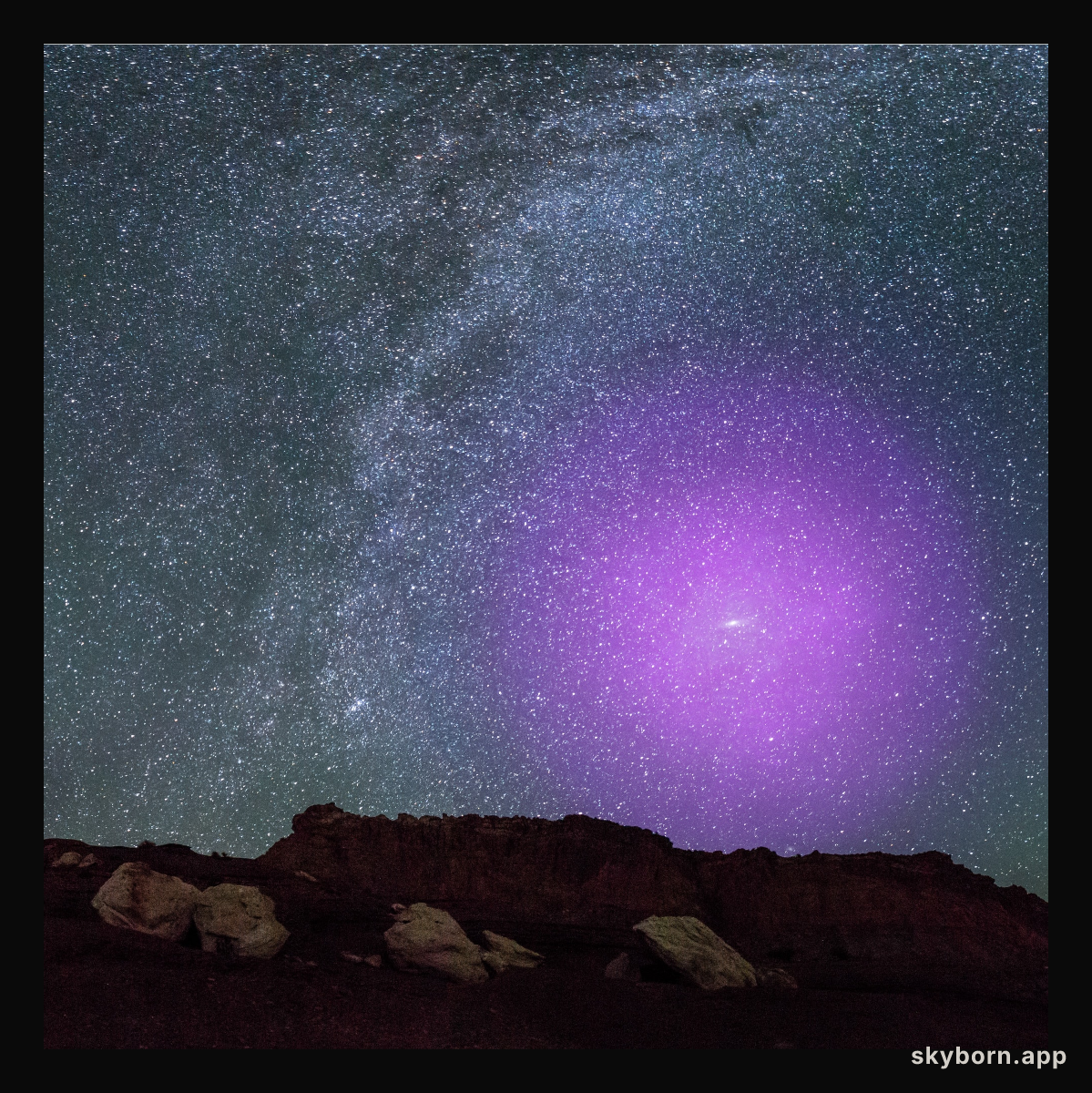 A Halo for Andromeda