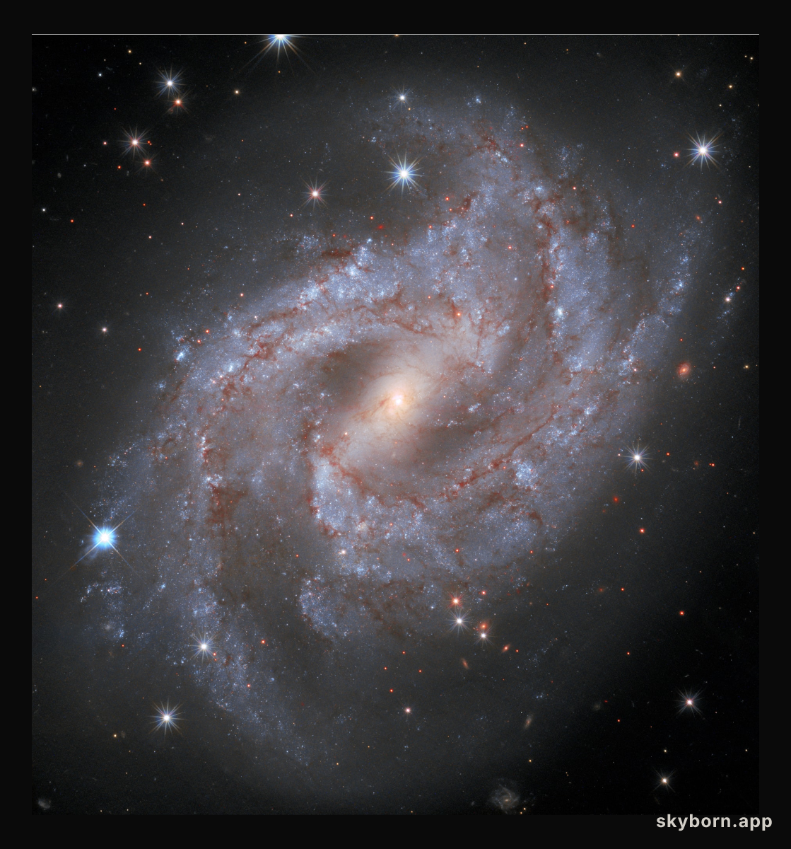 Supernova in NGC 2525