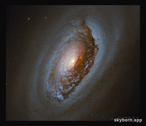 M64: The Evil Eye Galaxy