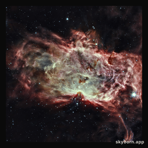Inside the Flame Nebula