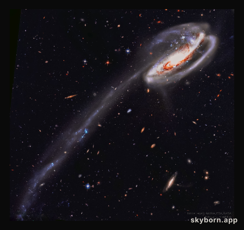 The Tadpole Galaxy from Hubble