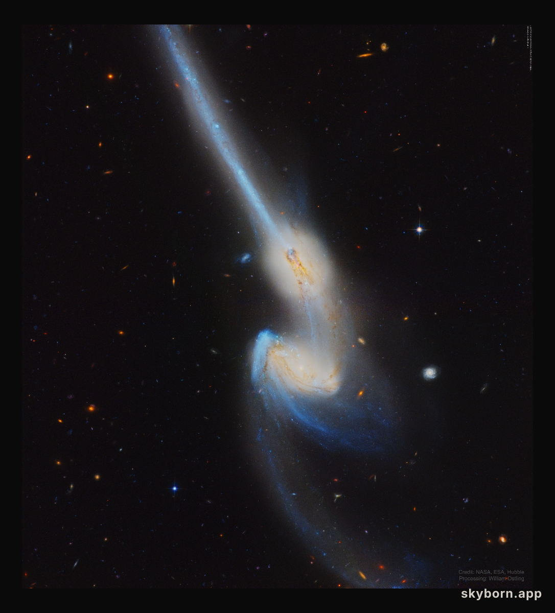 NGC 4676: When Mice Collide