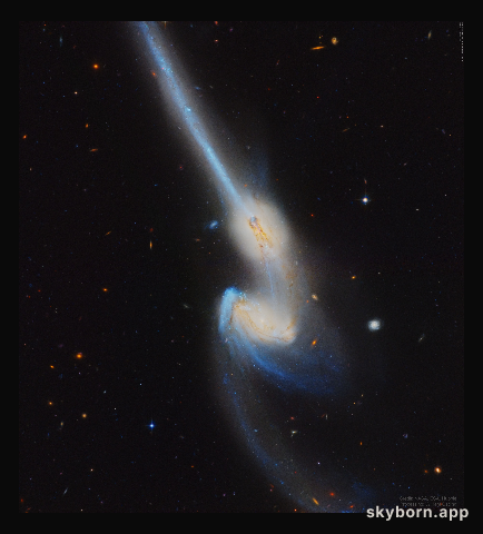 NGC 4676: When Mice Collide