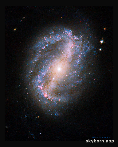 Barred Spiral Galaxy NGC 6217