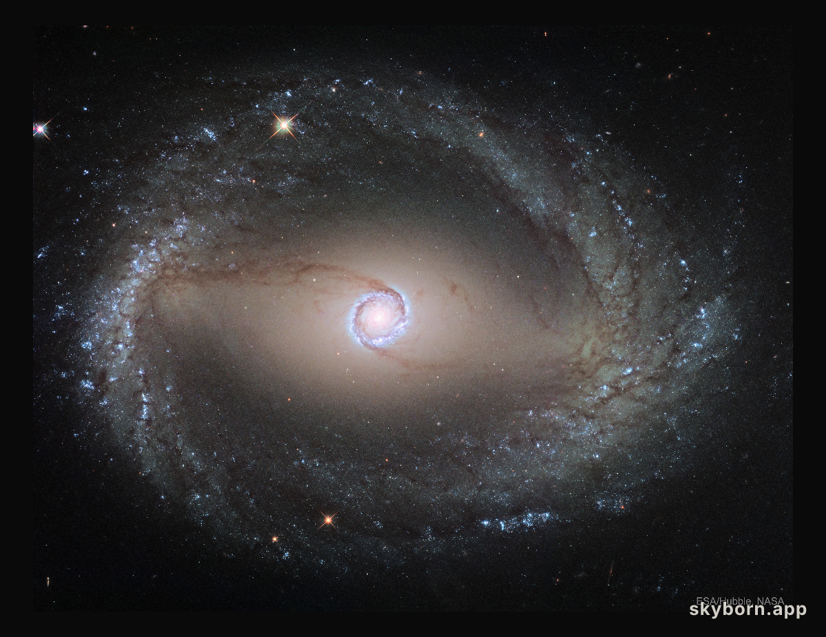 Spiral Galaxy NGC 1512: The Inner Rings