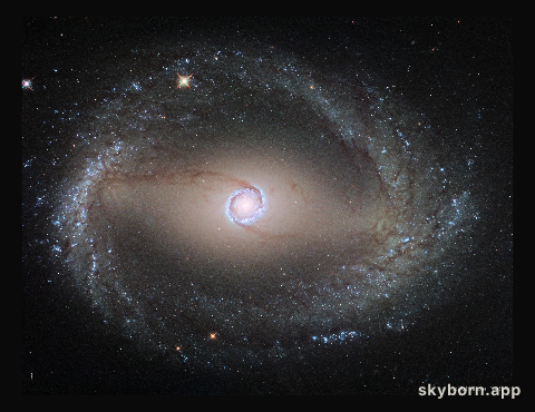Spiral Galaxy NGC 1512: The Inner Rings