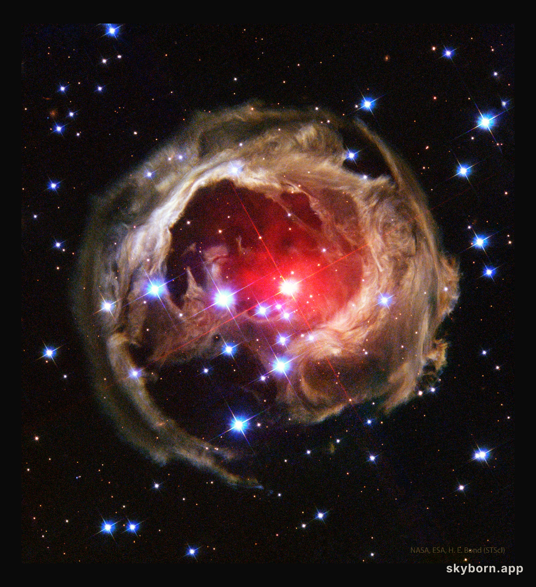 Light Echoes from V838 Mon