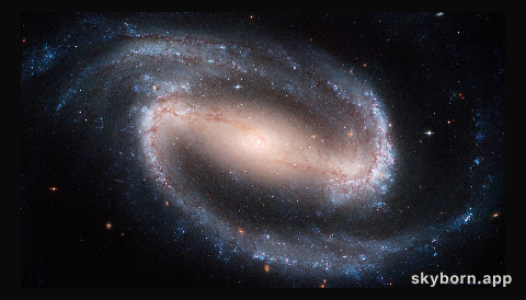Barred Spiral Galaxy NGC 1300