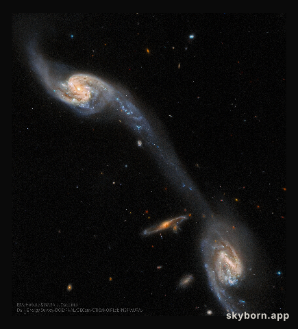 Galaxies: Wild's Triplet from Hubble