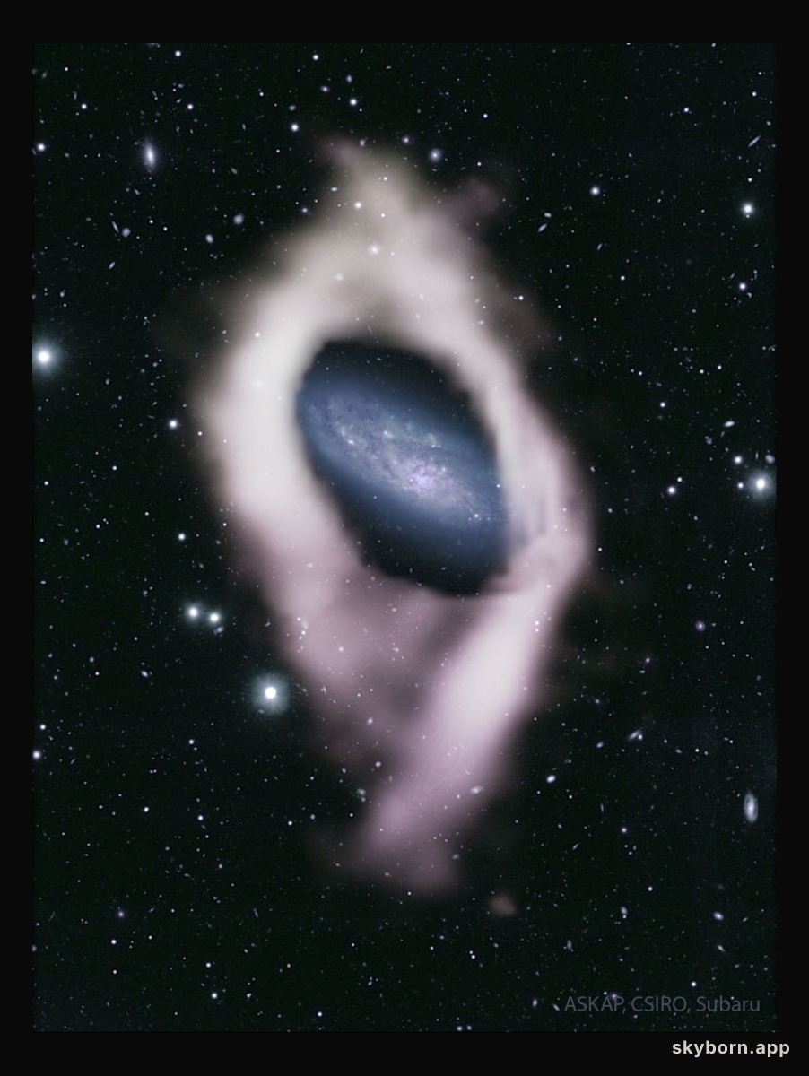 NGC 4632: Galaxy with a Hidden Polar Ring