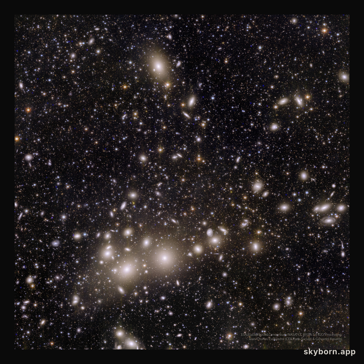 Perseus Galaxy Cluster from Euclid