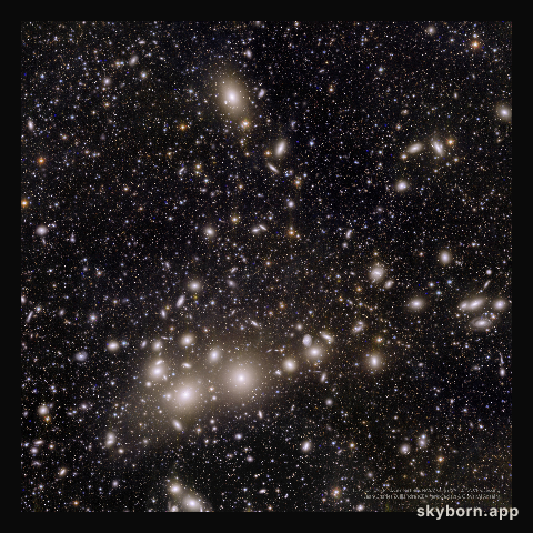 Perseus Galaxy Cluster from Euclid