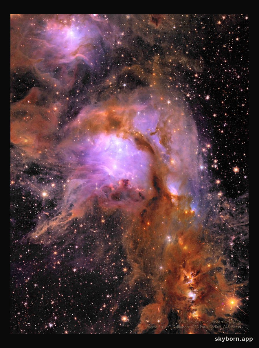 M78 from the Euclid Space Telescope