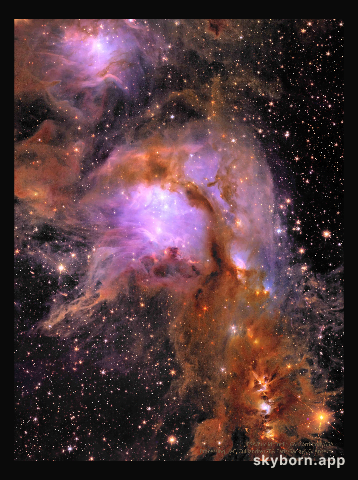 M78 from the Euclid Space Telescope