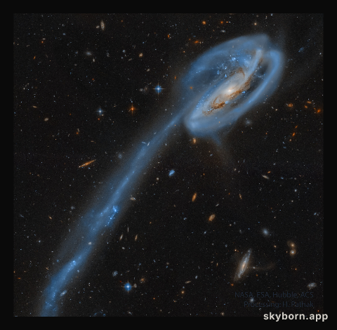 The Tadpole Galaxy from Hubble