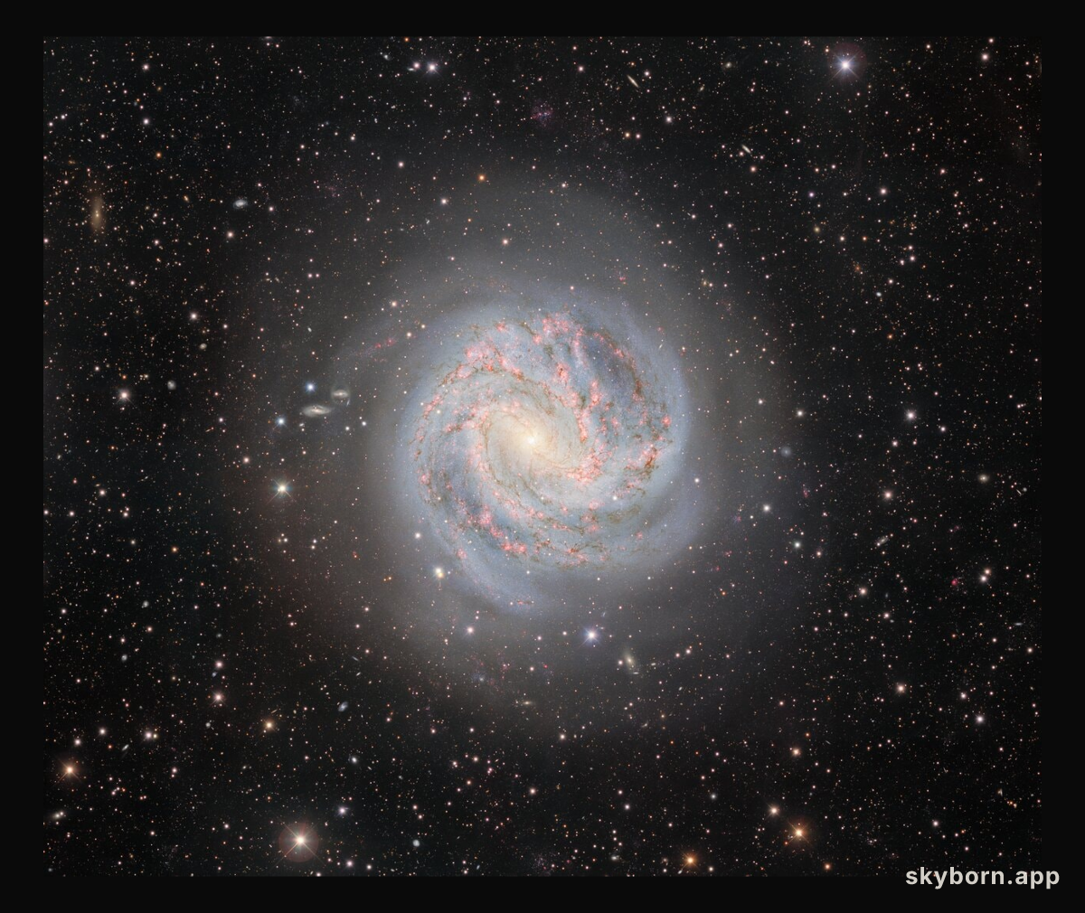 M83: The Southern Pinwheel