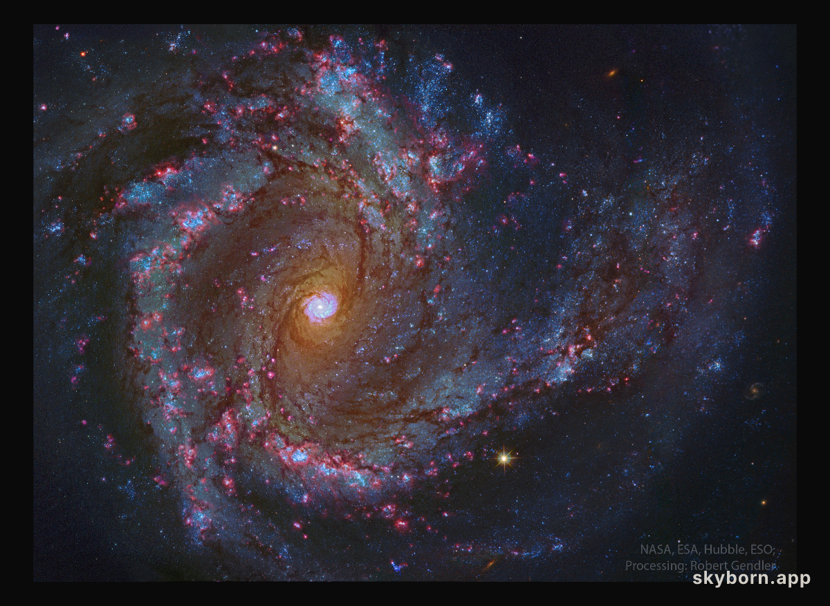 In the Center of Spiral Galaxy M61