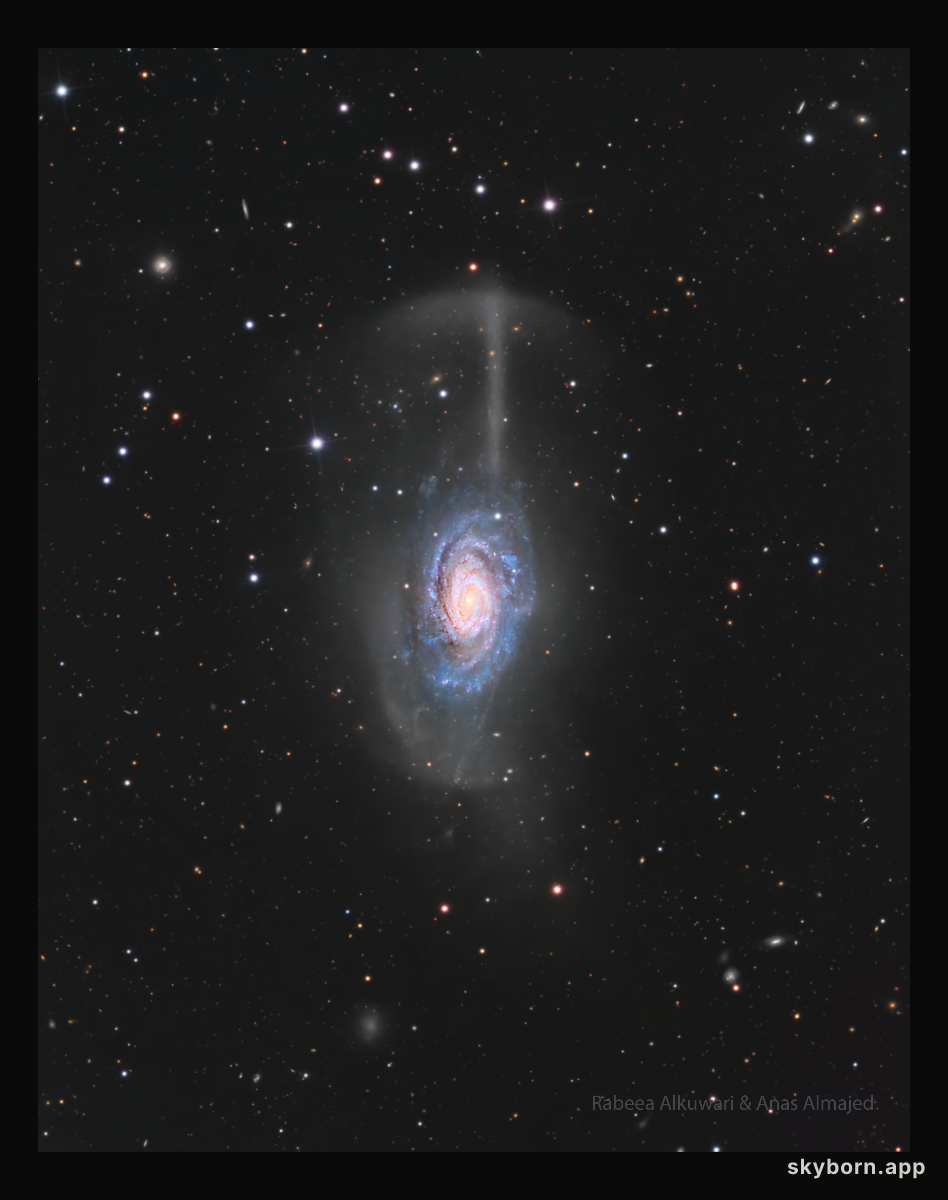 NGC 4651: The Umbrella Galaxy