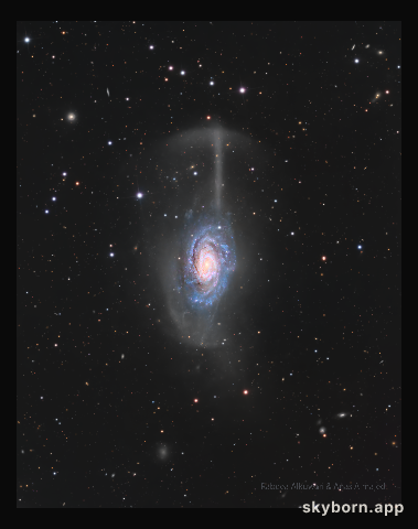 NGC 4651: The Umbrella Galaxy