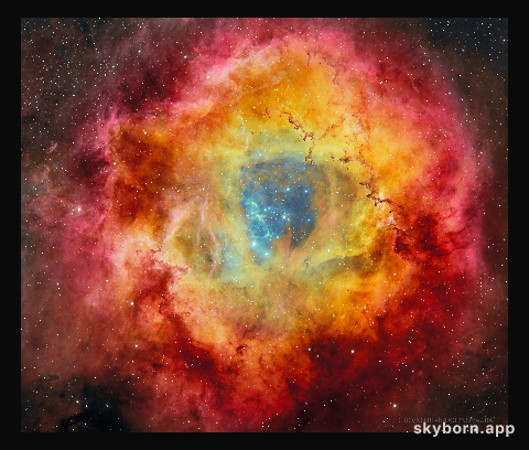 The Rosette Nebula from DECam