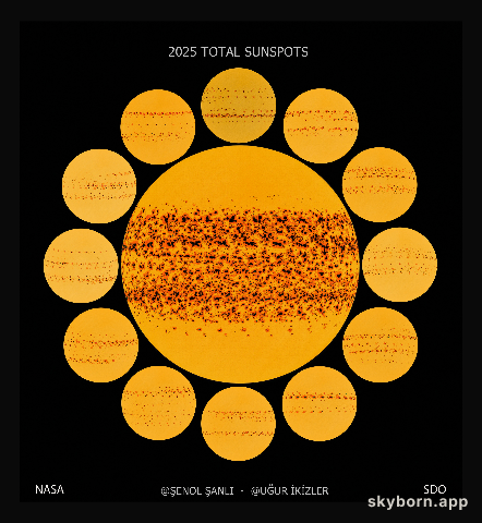 A Year of Sunspots