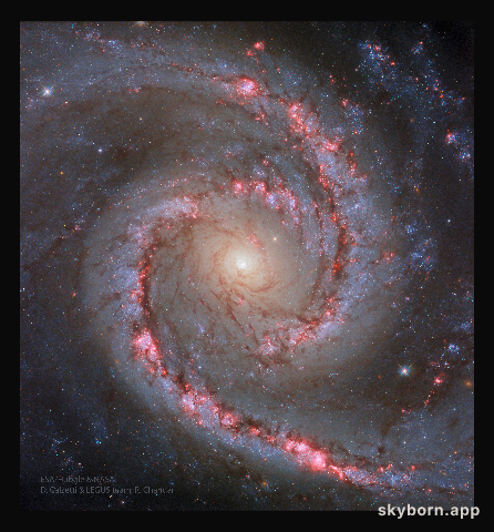 NGC 1566: The Spanish Dancer Galaxy