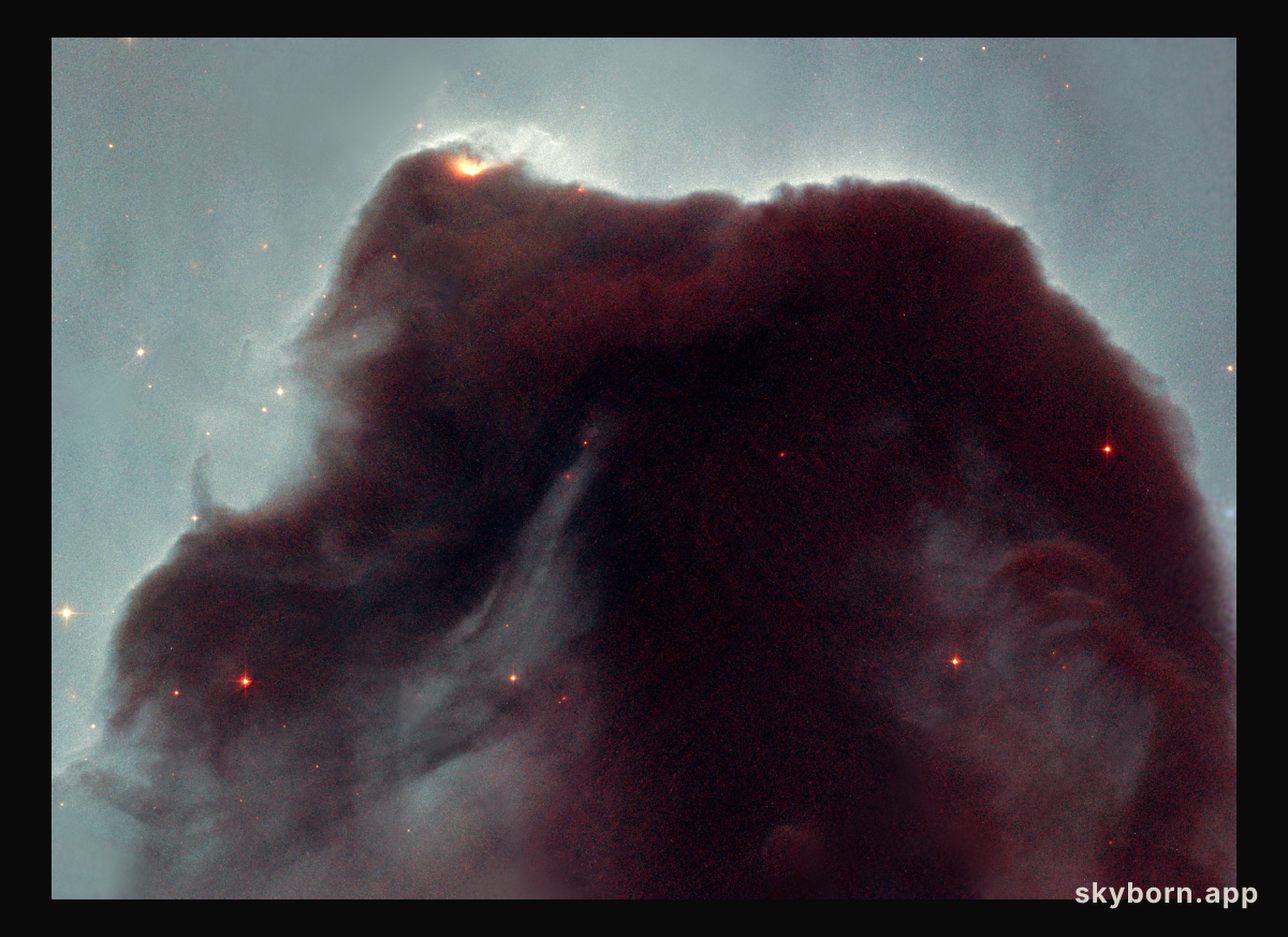 Eleven years in orbit: Hubble observes the popular Horsehead nebula