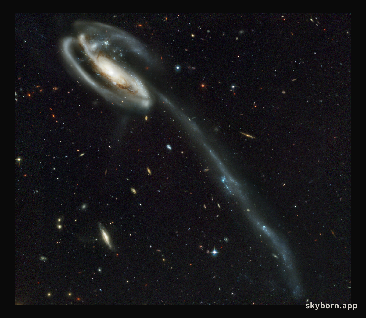 A 'wallpaper' of distant galaxies is a stunning backdrop for a runaway galaxy
