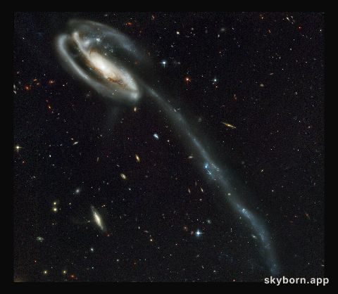 A 'wallpaper' of distant galaxies is a stunning backdrop for a runaway galaxy