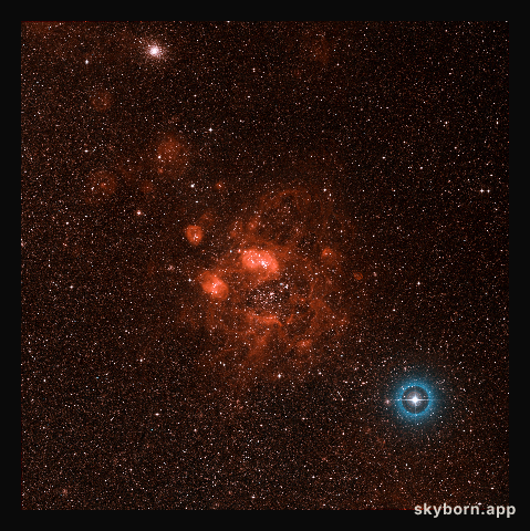 Close-up on N11B (ground-based image)