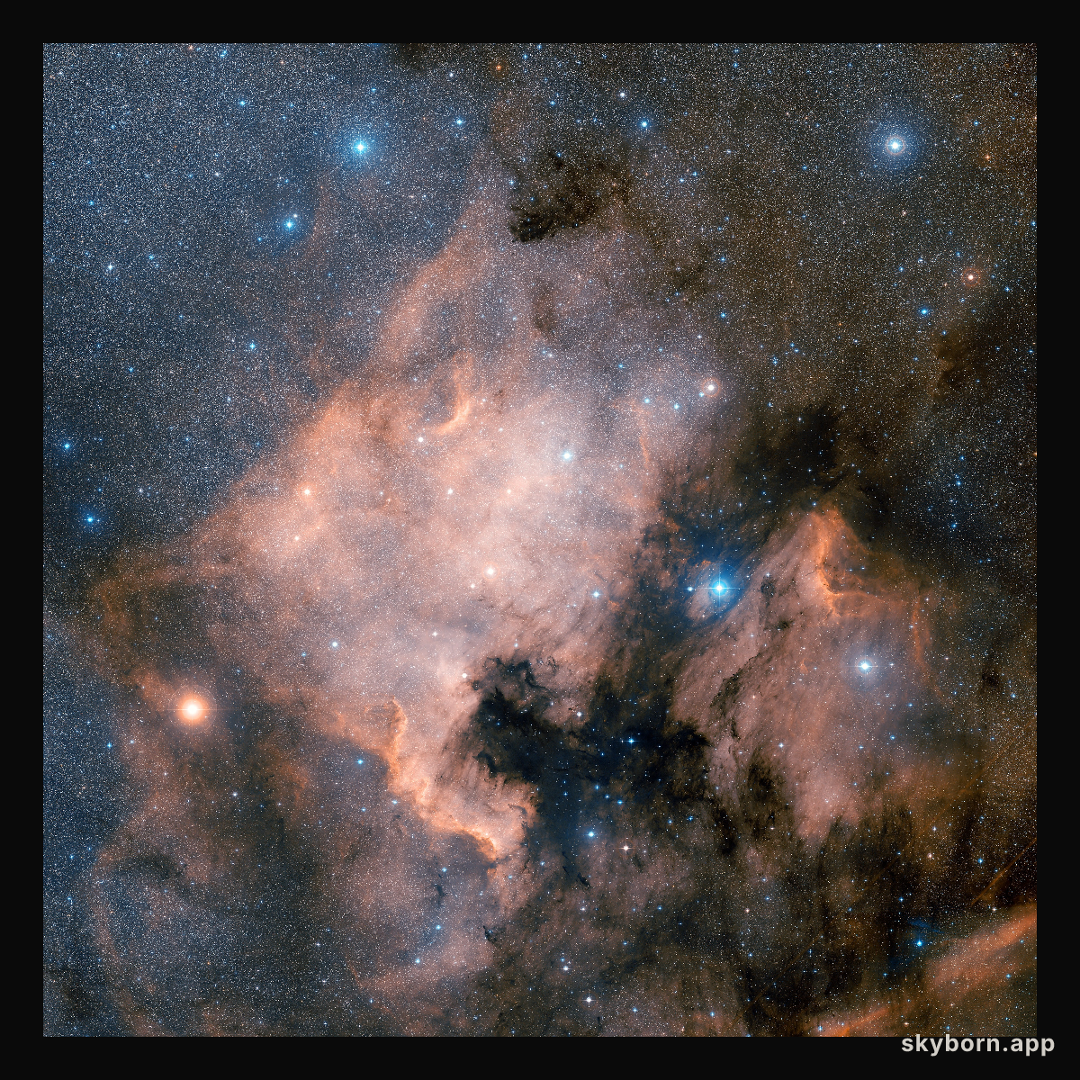 The North America Nebula (ground-based image)