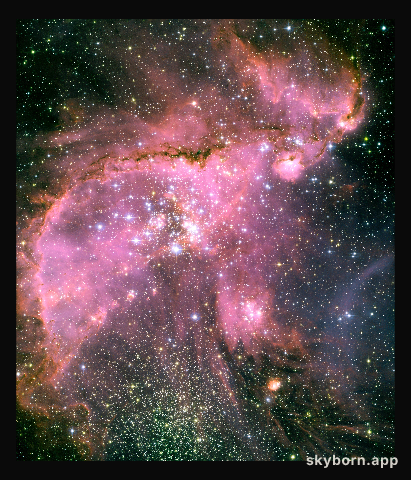 Young stars sculpt gas with powerful outflows