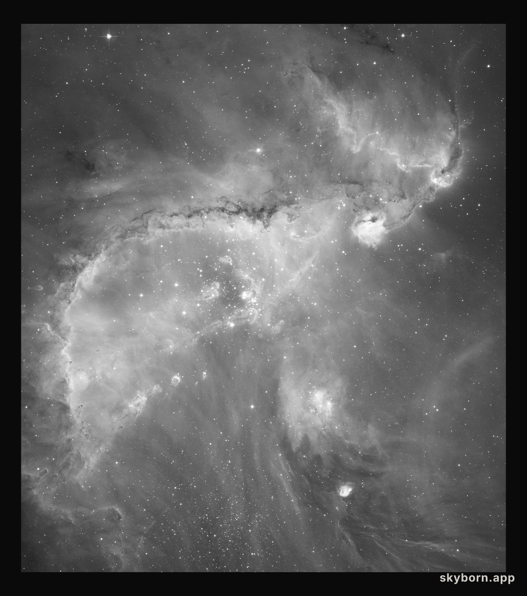 Hubble's black and white view of the Universe