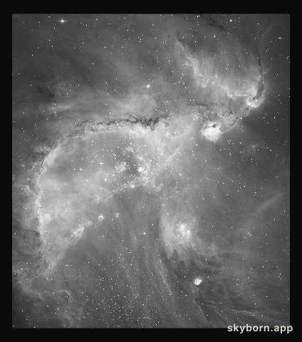 Hubble's black and white view of the Universe