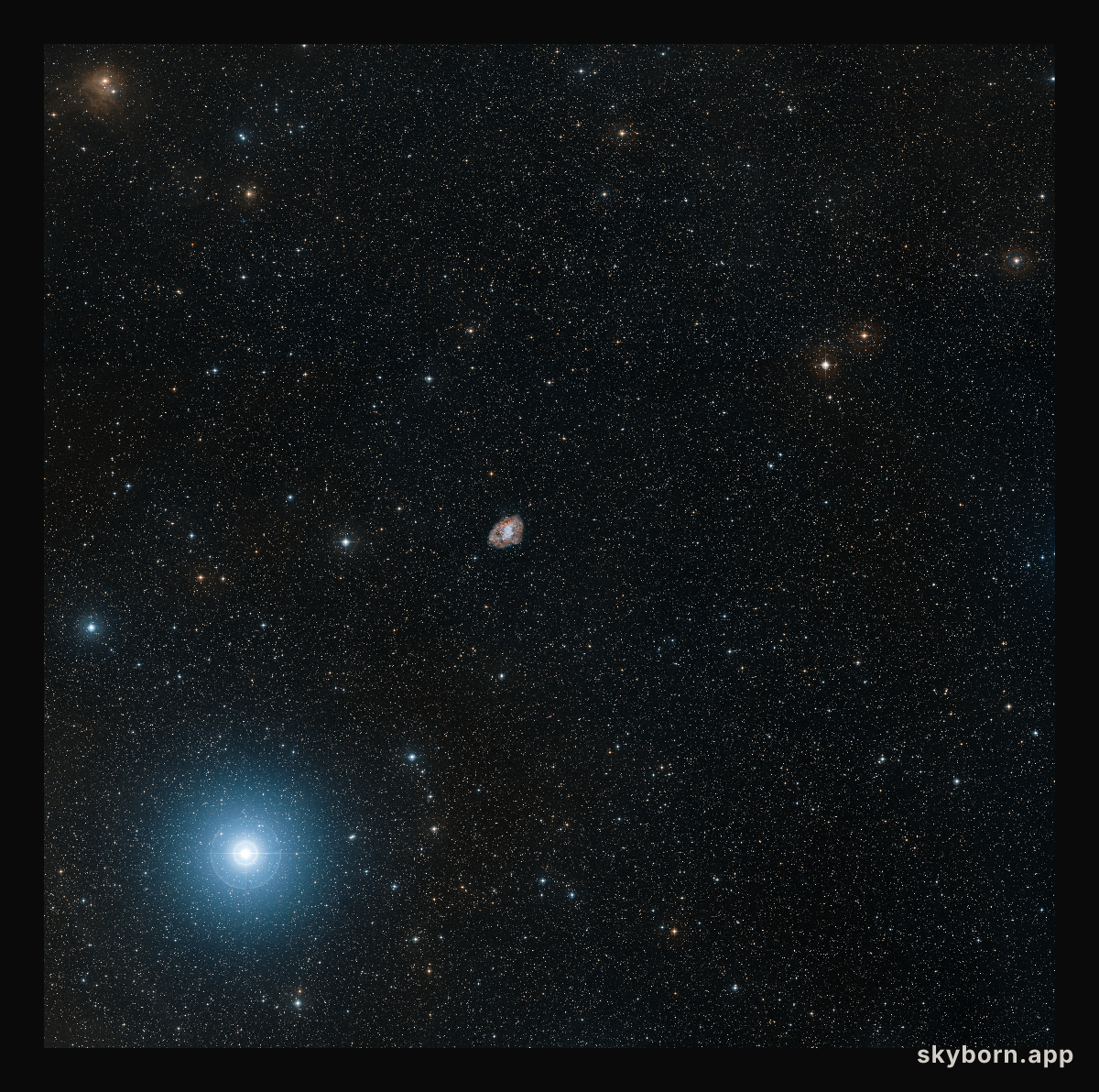 Digitized Sky Survey 2 image of the Crab Nebula (ground-based image)