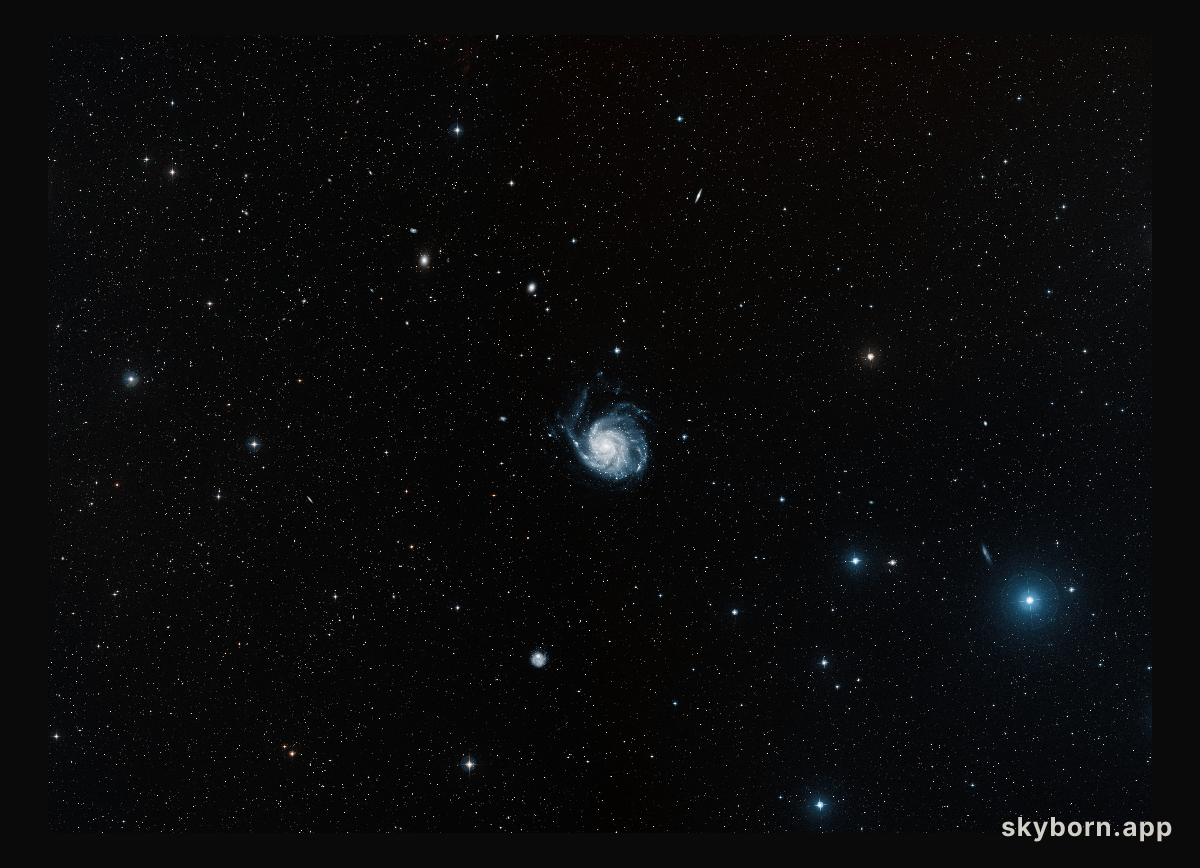 Digitized Sky Survey 2 image of the Pinwheel Galaxy (ground-based image)