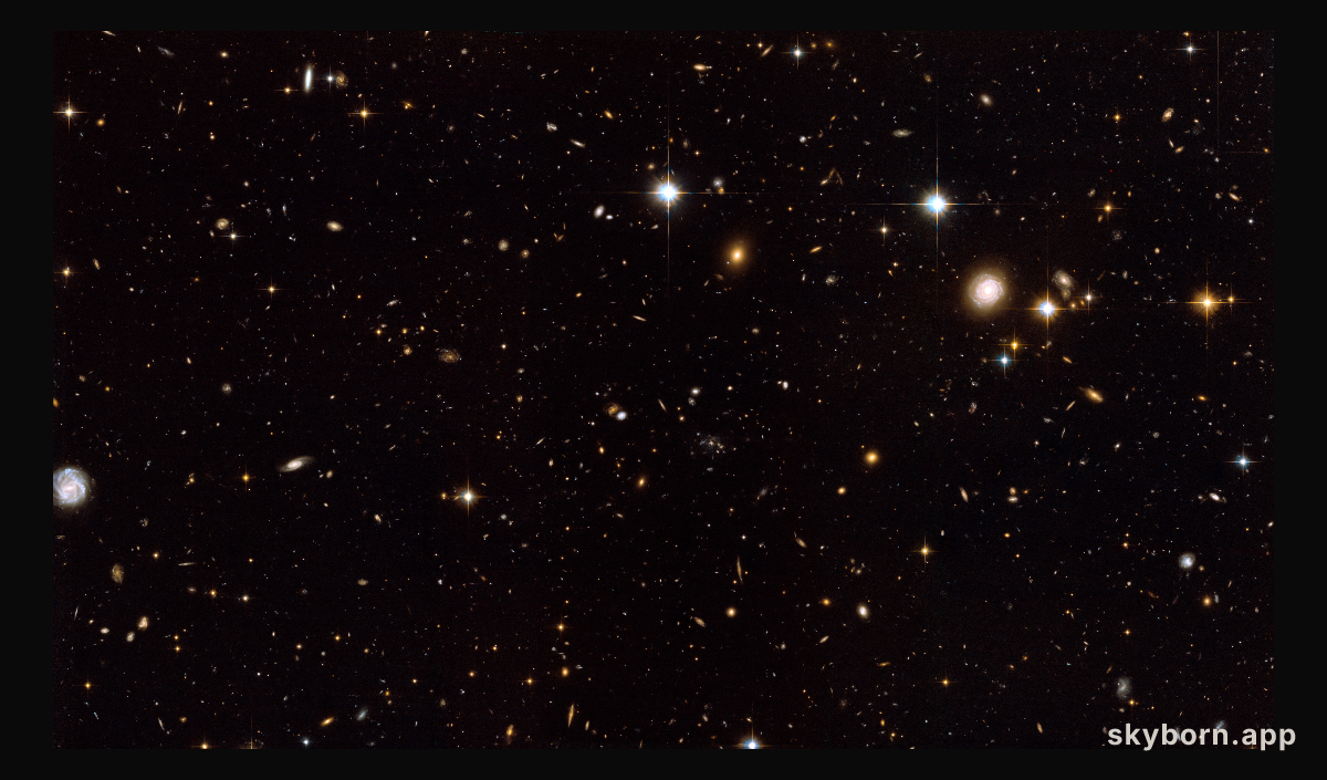 The Spiderweb Galaxy and its surroundings [full ACS view]