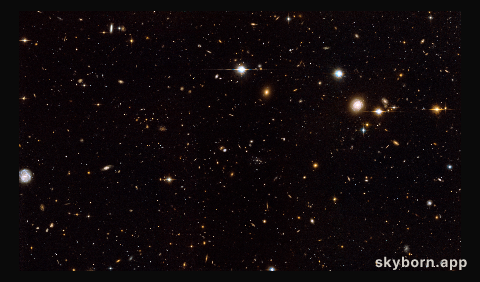 The Spiderweb Galaxy and its surroundings [full ACS view]