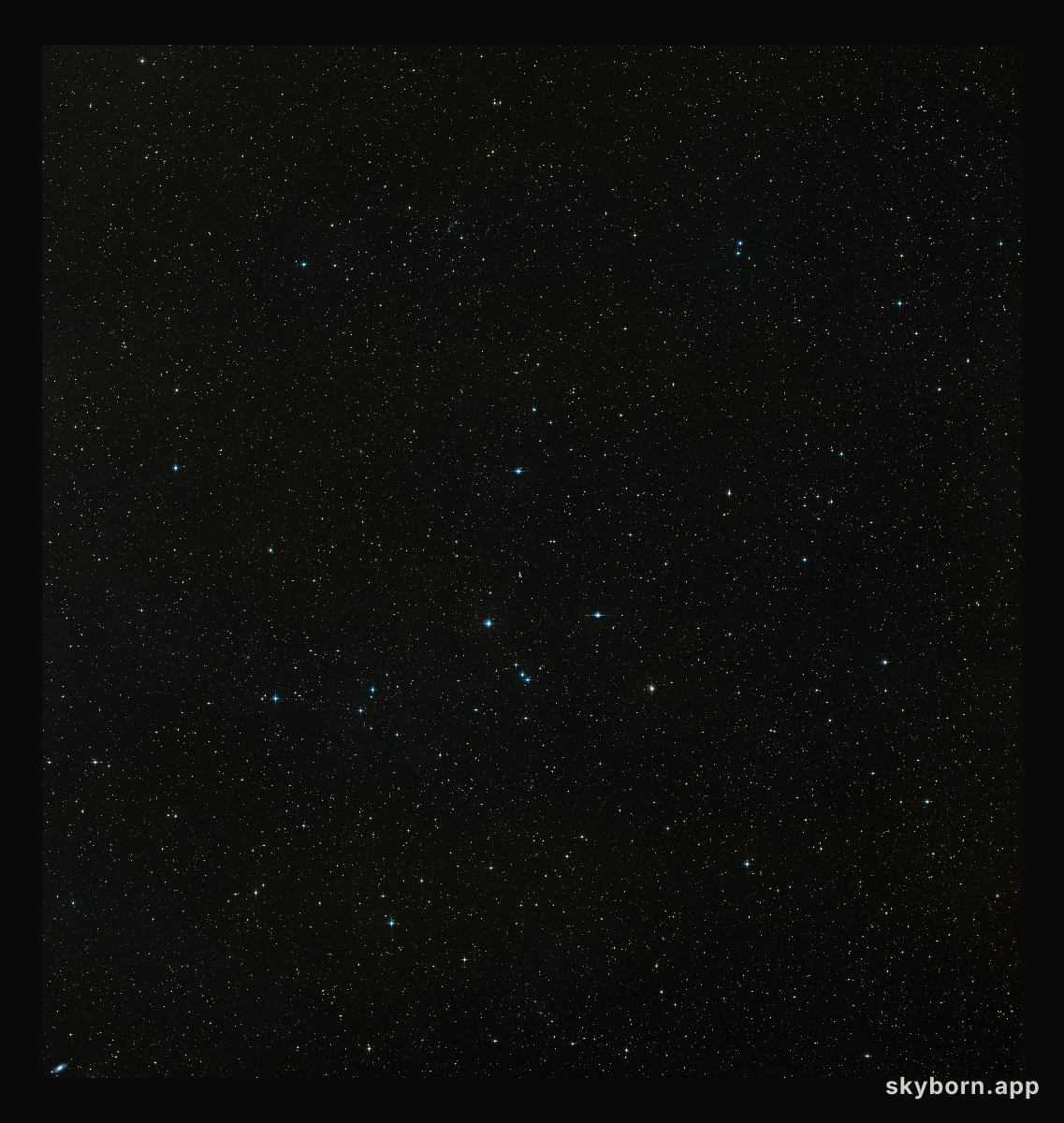 Wide-field image of the Spiderweb Galaxy (ground-based image)