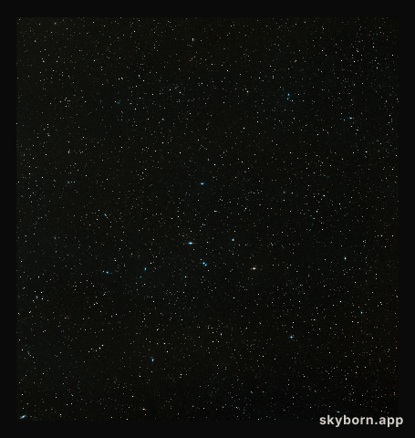 Wide-field image of the Spiderweb Galaxy (ground-based image)