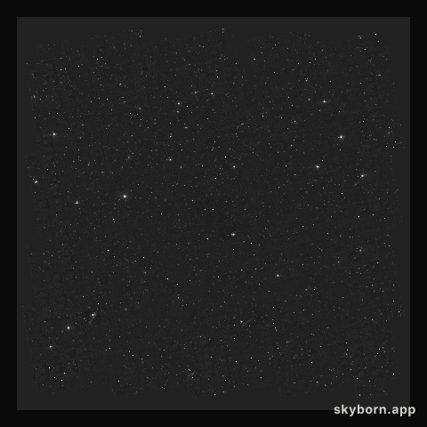 The full COSMOS survey field