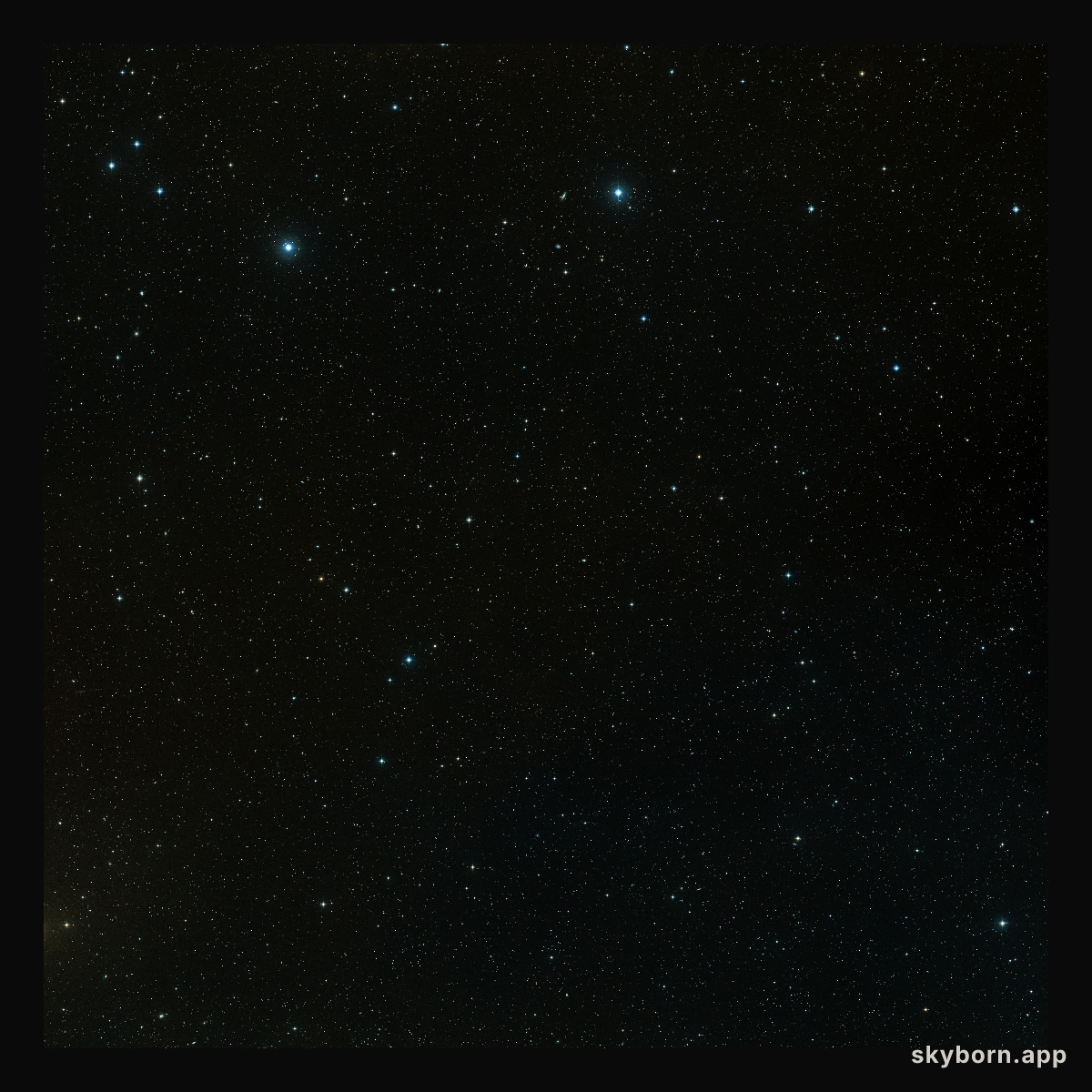 DSS COSMOS field (ground-based image)