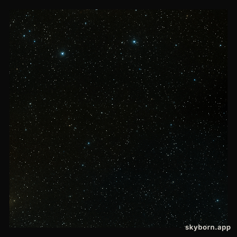 DSS COSMOS field (ground-based image)
